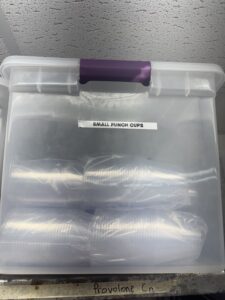 Small Punch Cups