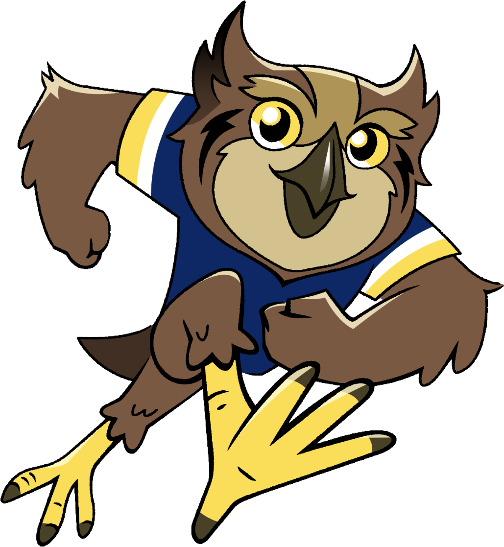 Hootie mascot